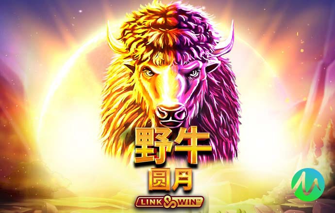 73彩票网手机版登陆app